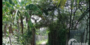 Bán đất chính chủ sổ đỏ 2666 m2 Châu Thành-Bến Tre