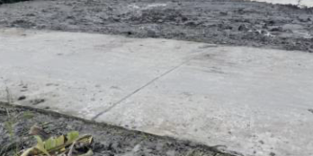 Do làm ăn thua lỗ nên cần bán gấp 5 công đất ruộng mặt tiền lộ đal 3,5m