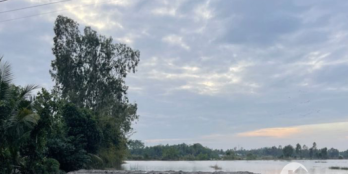 bán 5 công đất ruộng mặt tiền lộ đal 3.5m