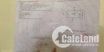 126,8m2 full đất ở 2 sổ có thể mua 1 sổ cũng bán. Có nhà c4 đường vào xe 7 chỗ