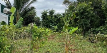 CẦN BÁN ĐẤT KINH DOANH MẶT TIỀN ĐƯỜNG NHỰA CÁCH UBND XÃ CƯ SUÊ CHỈ 300m