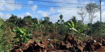 CẦN BÁN ĐẤT THÔN 3 CƯ SUÊ HẺM C2 ĐƯỜNG BÊ TÔNG, KHU DÂN CƯ ĐÔNG ĐÚC