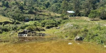 góc bán 4.8 xào đất  hiện trên  đất có mít,ao, mặt đất bằng phă