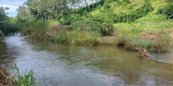 bán nhanh Đám vừa suối  lớn ,đẹp ,chưa qua cải tạo ,mặt suối ôm vươ