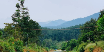 chủ gởi bán vườn sầu riêng đẹp ở Đoàn Kết - Đạ Huoai. Vườn có 3 mặt tiền đường