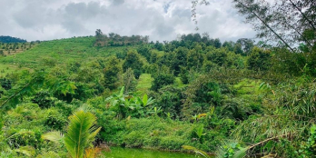 2,7 hecta ở Đoàn Kết - Đạ Huoai.   Có 400m2 thổ cư. Có hơn 200m mặt tiền đườ