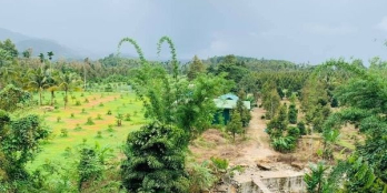 9000m2 , có 200m2 thổ cư , 45m mặt đường nhựa , đang nâng cấp mặt đường nhựa 6m.