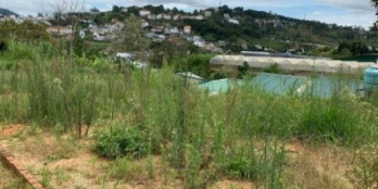 Chính chủ cần tiền gấp nên bán nhanh lô đất 500m2 mặt tiền 36m