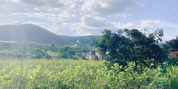 Cần bán gấp đất Thôn 3- Mê Linh