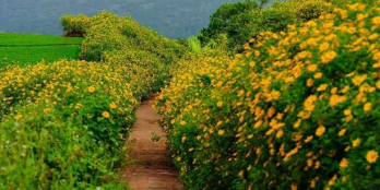 Đất đẹp giá 440triệu. dt 102m2