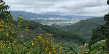 CHÍNH CHỦ CẦN BÁN ĐẤT GIÁ ĐẦU TƯ SINH LỜI  Diện tích: 5,3 x 24