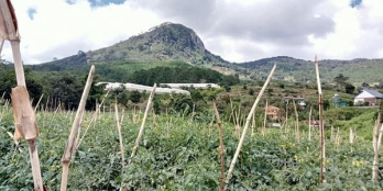 Lô đất ngay khu dân cư toàn cản Núi Voi Định An Đức Trọng