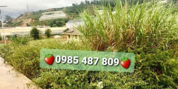 Khu vực trung tâm , lô đất cách trục đường chính Phước Thành chỉ 20m view thoáng