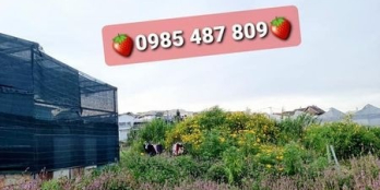 cần bán LÔ ĐẤT PHƯỜNG 7 DIỆN TÍCH 75M2 CHỈ 1TỶ4