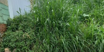 bán đất Giá : 2,2  tỷ + Địa chỉ: Cao Thắng P7 + Diện tích : 72 m2