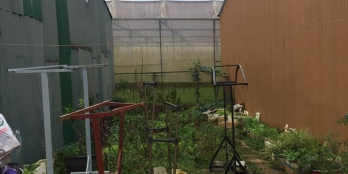 Ngon, bổ, rẻ là đây!    Chính chủ cùng cơ quan muốn bán đất:  Diện tích 75m2