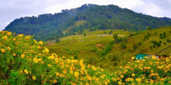 đèo Tà Nung xuống Hà Nam còn 3 lô đất mỗi lô 1000m2 (có sẵn 100m thổ cư)  Giá 1.