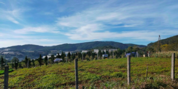 Góc cần bán ĐẤT CẦN BÁN KHU GẦN BIỆT THỰ LÝ NHÃ KỲ