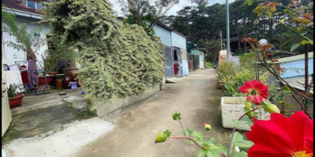 Bán gấp lô đất xây dựng mặt tiền giá đầu tư 32tr/m2, p.7, Đà Lạt _Diện tích: 273