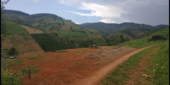 Chính chủ cần bán lô đất với diện tích 3,8 sào với giá 5ty