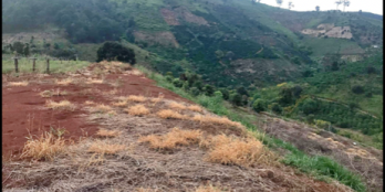 Cần bán lô đất thôn 6 Tà Nung Đà Lạt với diện tích 7sào có giá 2ty/ sào