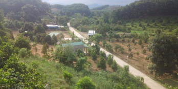 ️Trảng Dầu - Đạ kho ️Dt :30x61m ️Thế Đất đẹp và bằng ️Có khe suối cnh đất