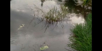 giá 150tr/sào ️Dt:2,55héc ️Cách tỉnh lộ 725: 1km ️Lên đc thổ cư Oto tới nơi