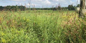 Bán lô đất 190m2 đường Phan Chu Trinh khu dân cư TT Đất Đỏ - Đất Đỏ - BRVT.