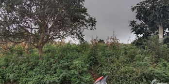 CẦN BÁN ĐẤT NỀN ở Minet, Đinh Lạc, Di Linh, Lâm Đồng