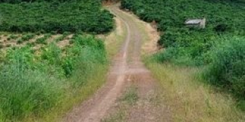 cần bán lô đất trạm điện thông qua tân nghĩa