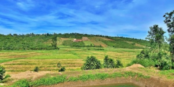 Lô đất quá đẹp ngay trung tâm thị Trấn