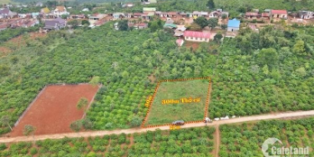 Diện tích (27mx30m ) - có 300m thổ cư  Lô đất vuông vức   Cách Quốc lộ 20 70