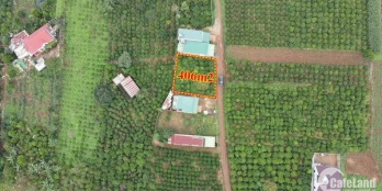 bán Đất thị trấn Di Linh: đường Lê Lai.  ---- 20mx23m  Cách hồ 200m