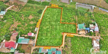 Lô đất khu vực Đinh lạc - ngay cây xăng Petrolimex Di Linh