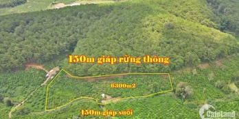 Lên lô đất tuyệt phẩm, sau giáp rừng thông, trước giáp suối, đất bằng phẳng