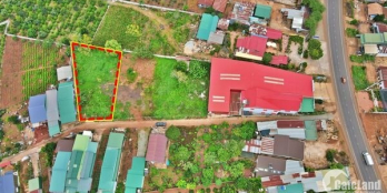 bán Lên 3 lô đất khu vực trường lái - mặt tiền đường nhựa- Full thổ cư