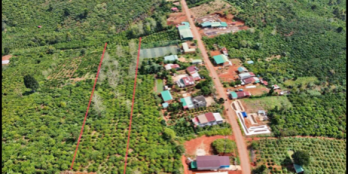 lô đất 8xào thôn 3 tân thượng nằm trong khu dân cư đông đúc Lô đất có 70m mặt ti