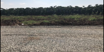 Đất chính chủ Cần Ra đi 1 lô 112m2, mặt tiền đường. 7*14m