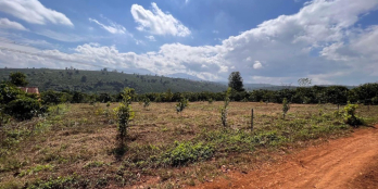 Chính chủ cần tiền hạ giá bán lô đất 27.6m mặt tiền giá 47tr/1m ngang