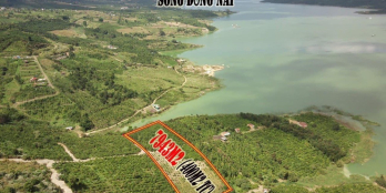 Chính chủ cần bán lô đất 7943m2 giáp sông đồng nai có 400 thổ cư giá rẻ