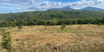 Chính chủ cần tiền bán nhanh lô đất Với diện tích1018 giá 49tr/1m ngang