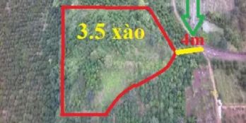 Chính chủ cần bán lô đất ngay trung tâm xã Tân Nghĩa Di Linh với giá 600tr/sào