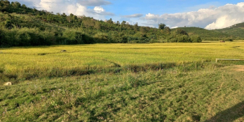 Cấn bán lô đất đẹp đường to giá 630 triệu  1500 m vuông