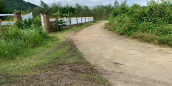 Bán 2 lô vườn Diên Tân, Diện tích lô 1 3251m2 lô 2212m2