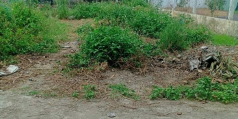 Hạ giá bán nhanh còn 729tr Đất Diên Toàn