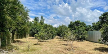  Lô đất đẹp Tỉnh lộ 2 - Diên Thọ cho quý khách hàng sở hữu đón Tết