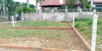 Bán hai lô diên lạc đối diện cay giáng hương giá học sinh