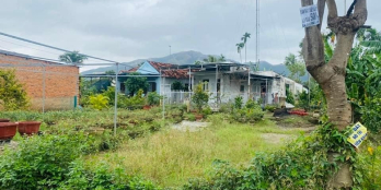 Bán lô Diên An 90m2 Giá 1ty250 bao sổ