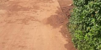 Bán lô đất ở suối thông a2 đạ ròn đơn dương.dt 6×20+100thô cư