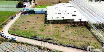 CẦN BÁN 3 LÔ LIỀN KỀ TẠI TT. THẠNH Ỹ-ĐƠN DƯƠNG-LÂM ĐÒNG